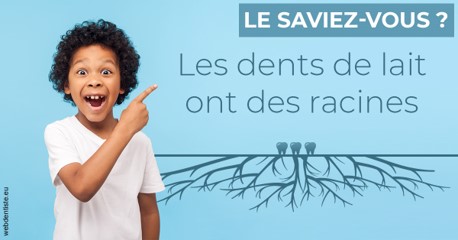 https://selarl-chirdentiste-drherve.chirurgiens-dentistes.fr/Les dents de lait 2
