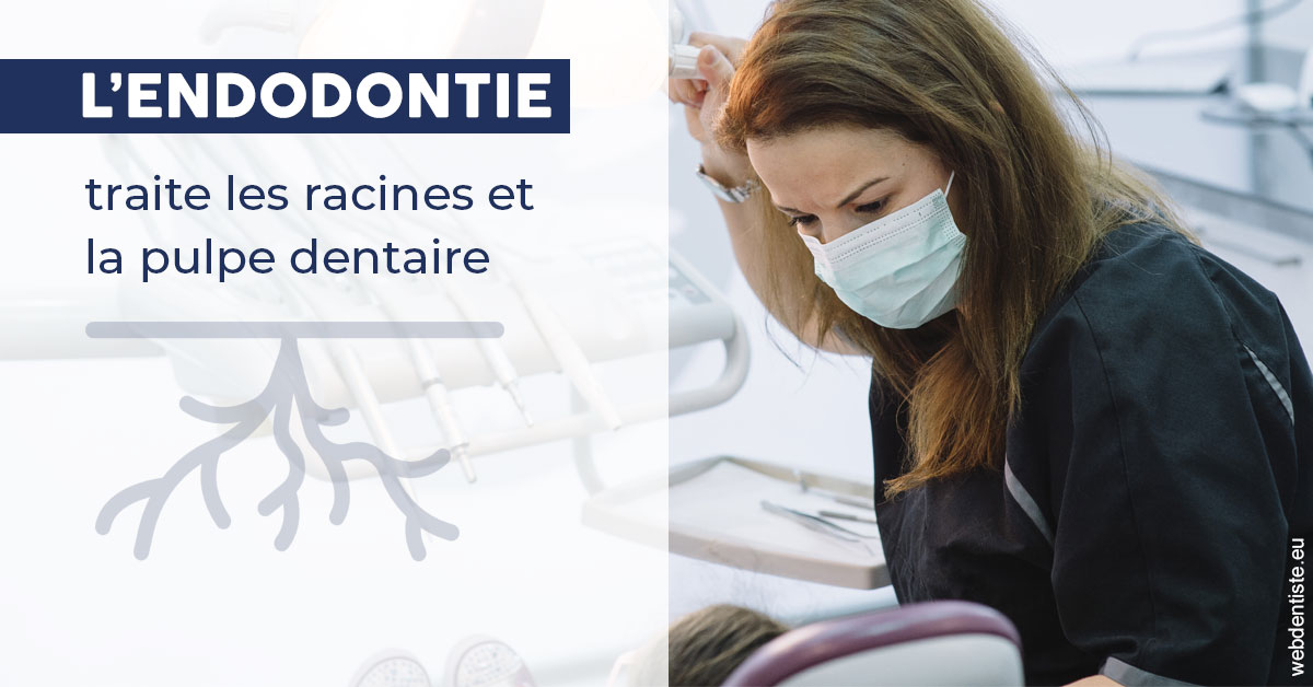 https://selarl-chirdentiste-drherve.chirurgiens-dentistes.fr/L'endodontie 1