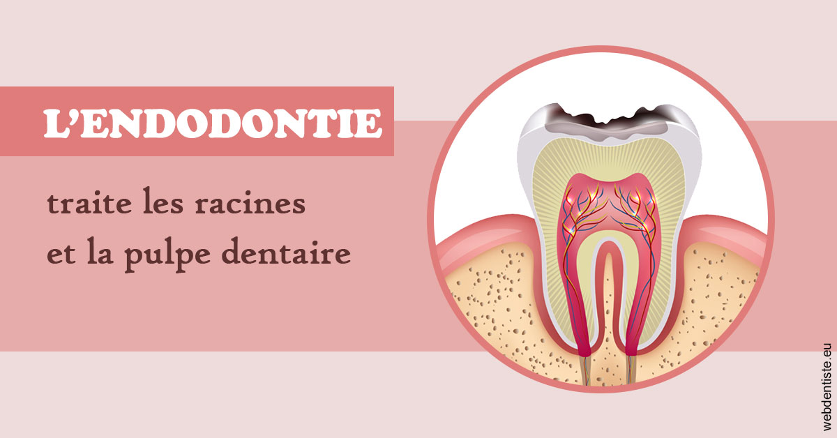 https://selarl-chirdentiste-drherve.chirurgiens-dentistes.fr/L'endodontie 2